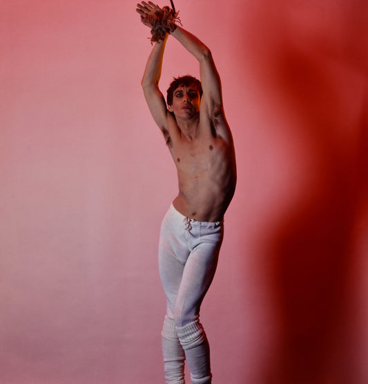 Iggy Pop - New Values, 1979