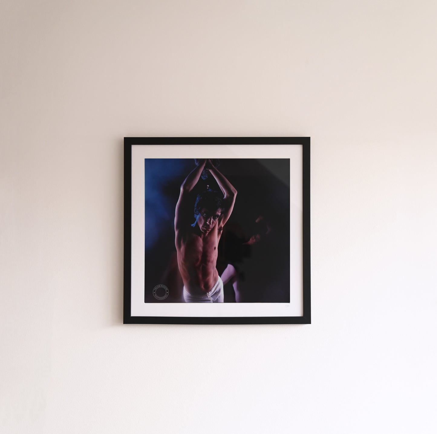 Iggy Pop - 'New Values' Session - Limited Edition Framed Print