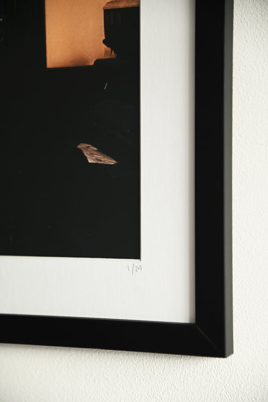The Stranglers - IV (Rattus Norvegicus) - Limited Edition Framed Print