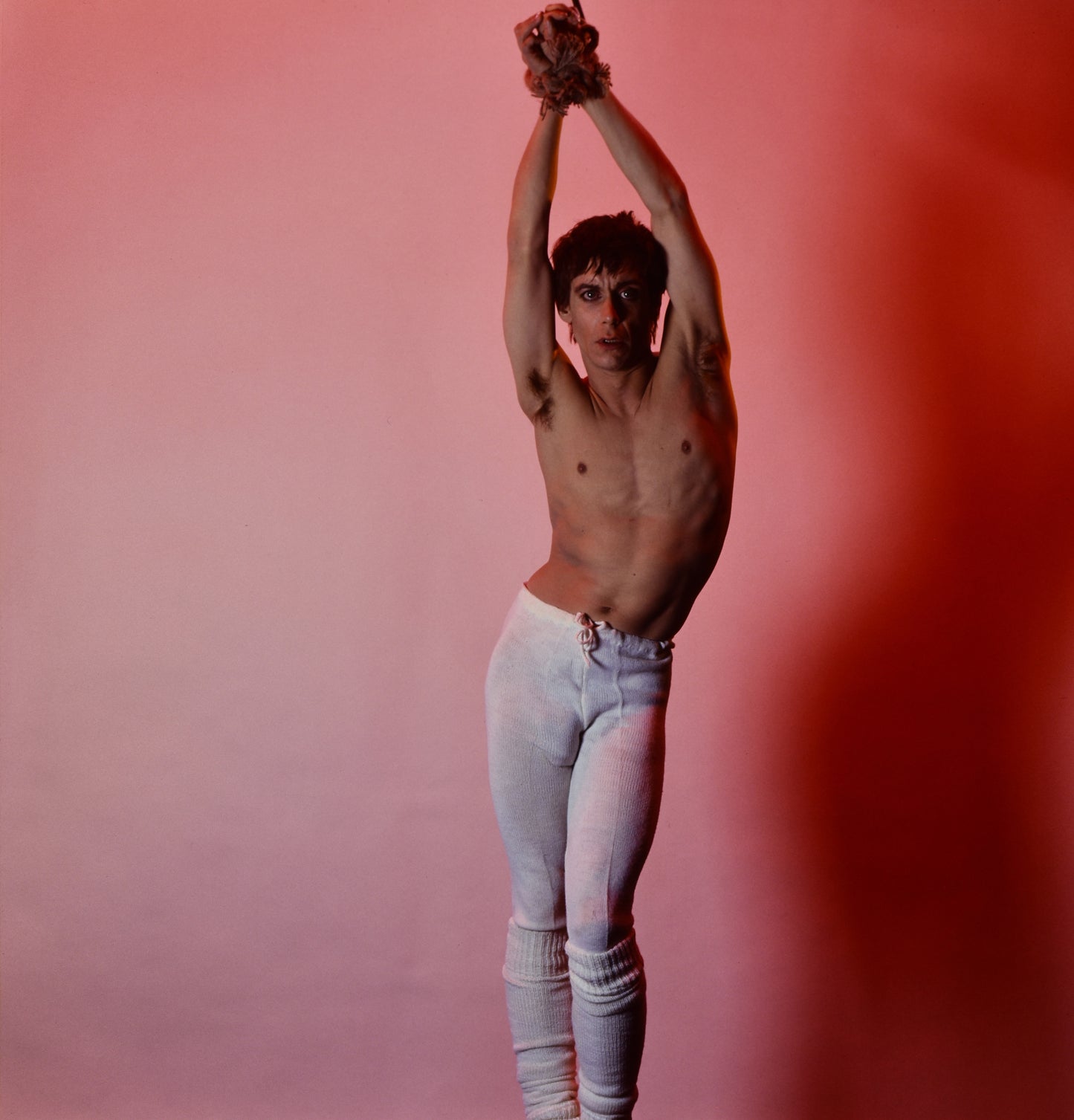Iggy Pop - New Values, 1979