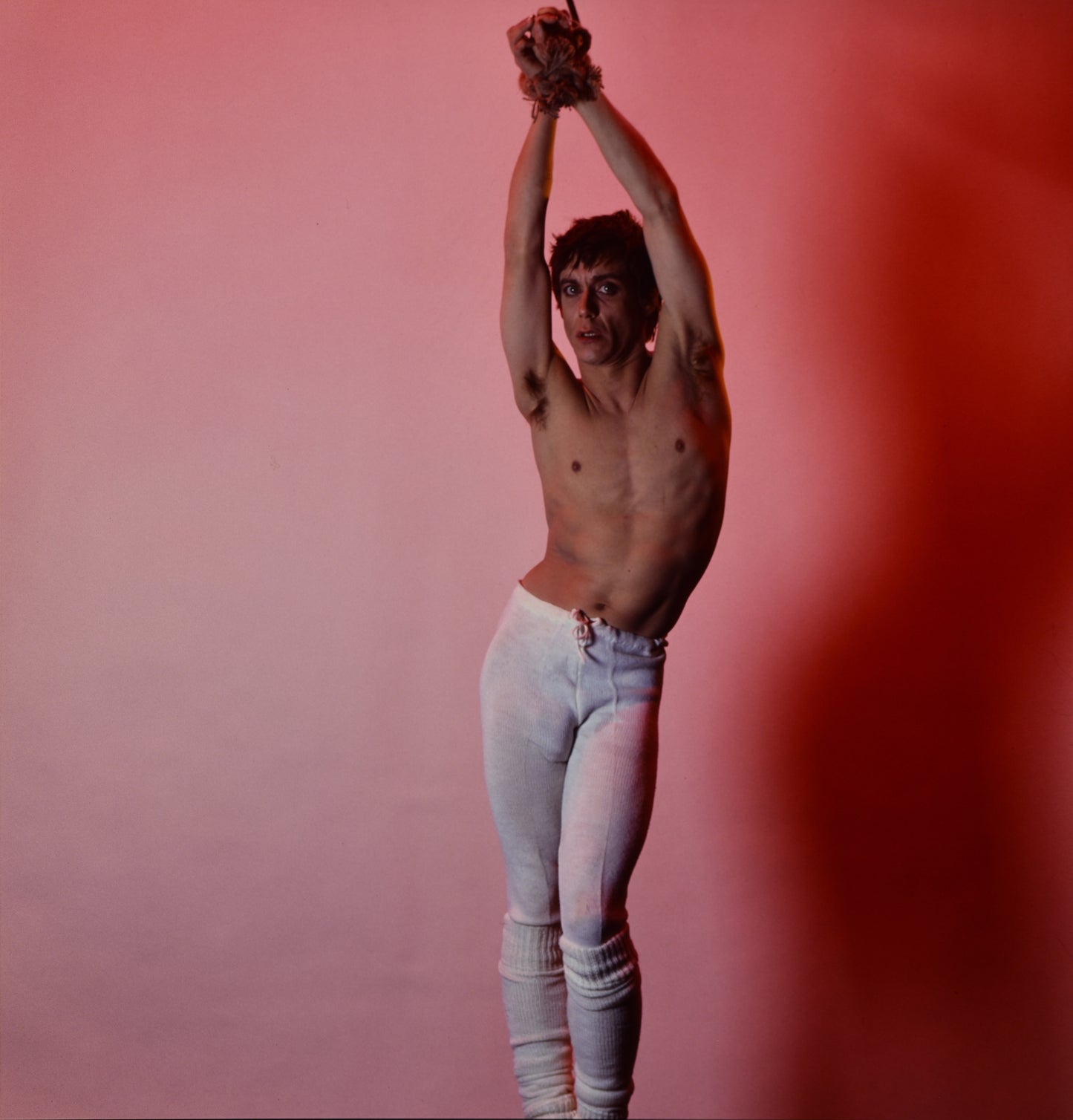Iggy Pop - New Values, 1979
